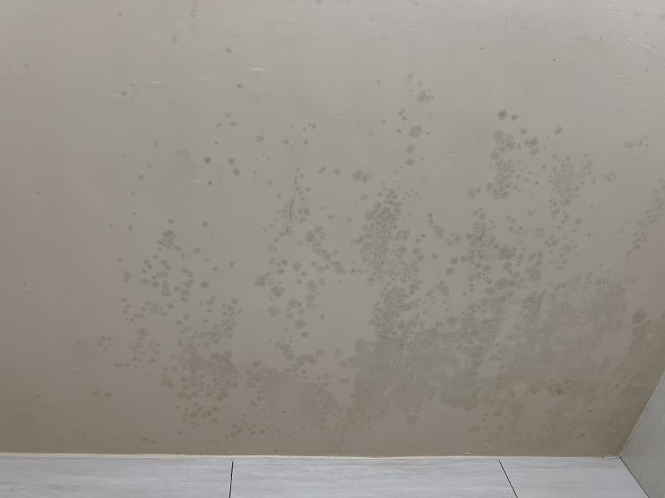 屋頂防水案件圖片