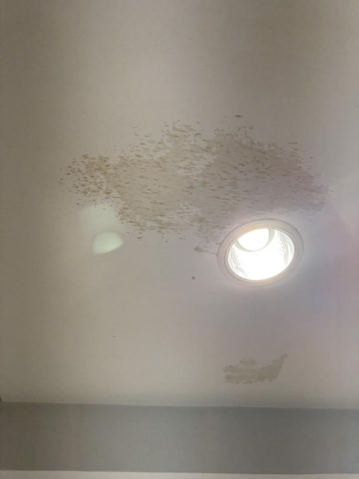 木工施工案件圖片