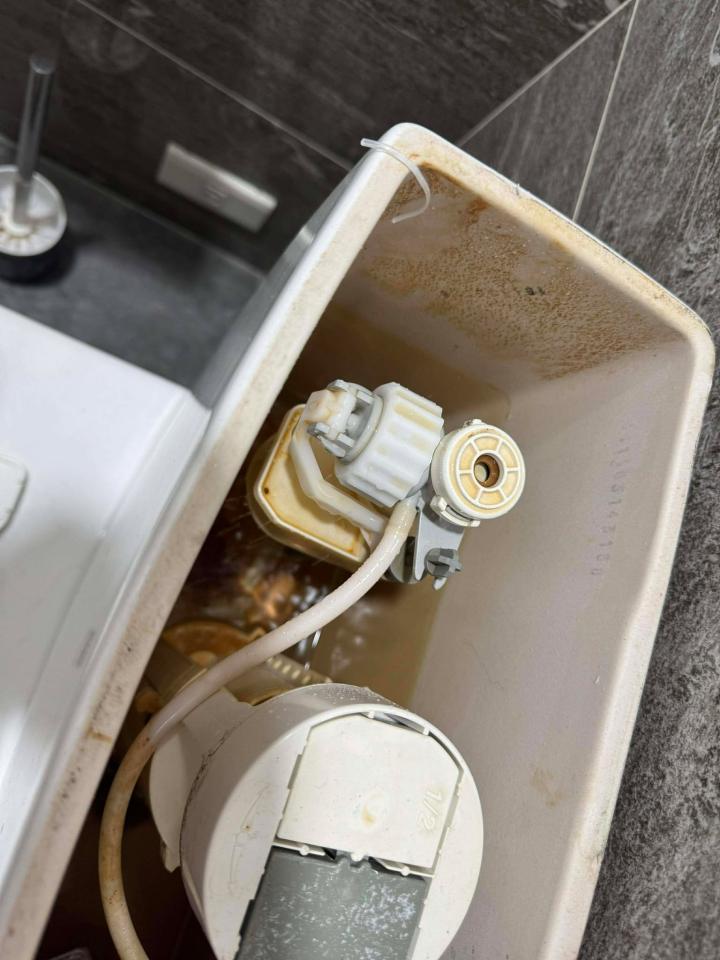 馬桶裝修案件圖片