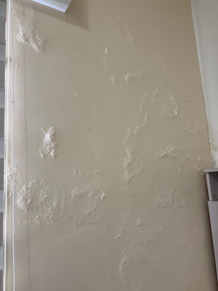 屋頂防水案件圖片