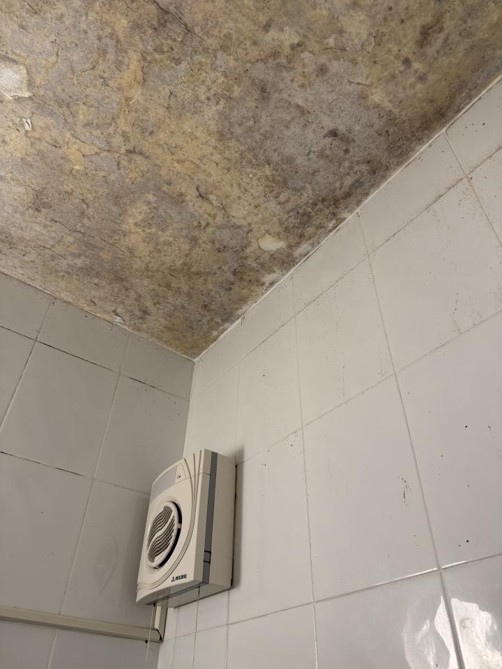 浴室除霉清潔案件圖片