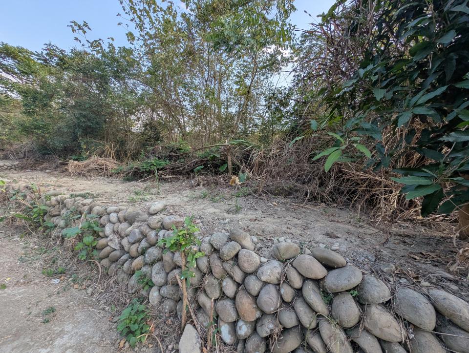 園藝維護案件圖片