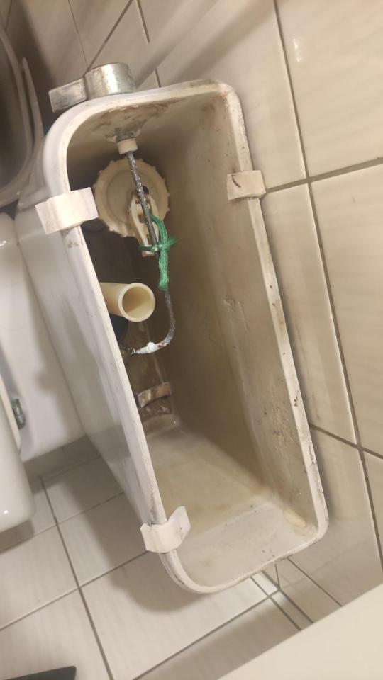 馬桶裝修案件圖片