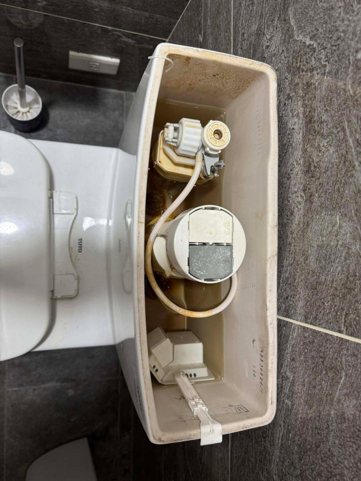 馬桶裝修案件圖片