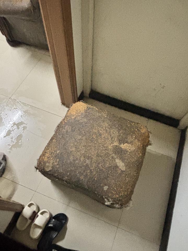 大型垃圾回收案件圖片