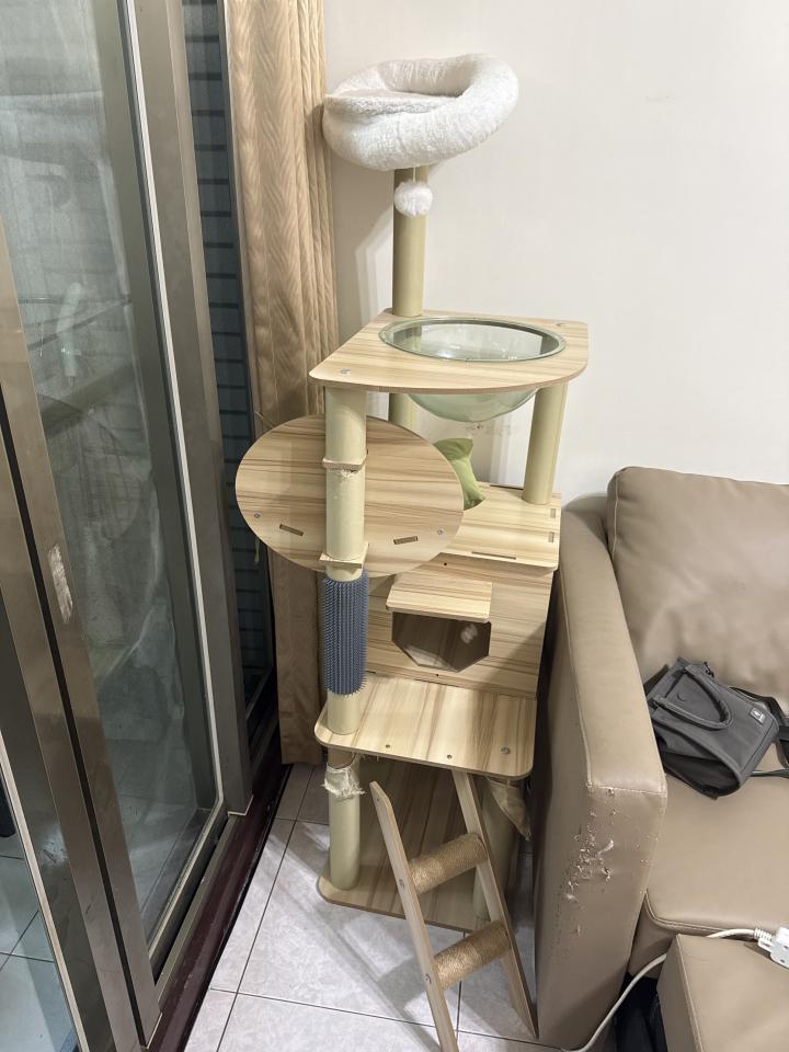 代收垃圾案件圖片