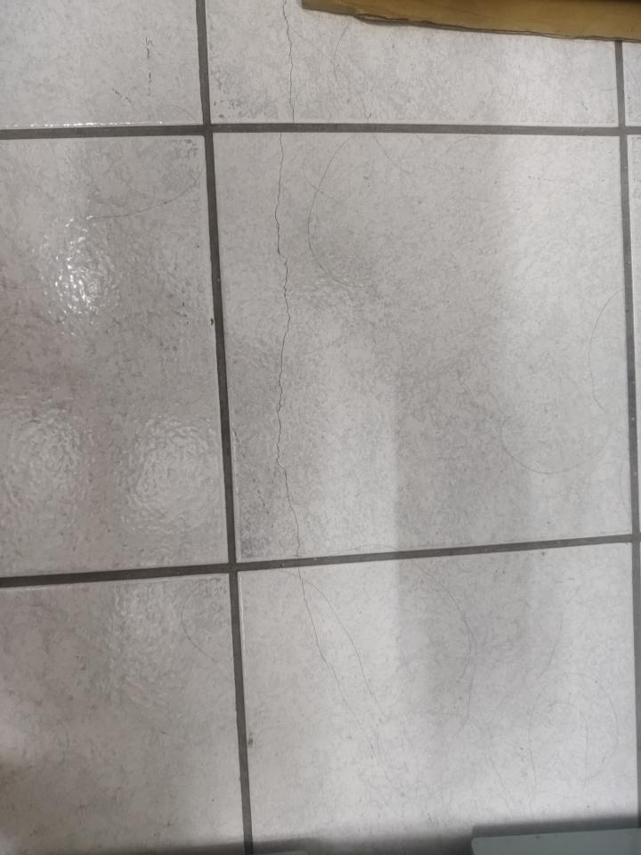 泥作/水泥施工案件圖片