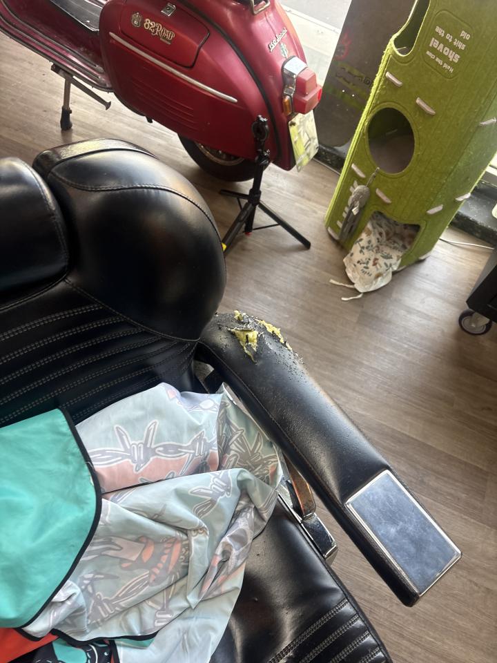 沙發修理案件圖片