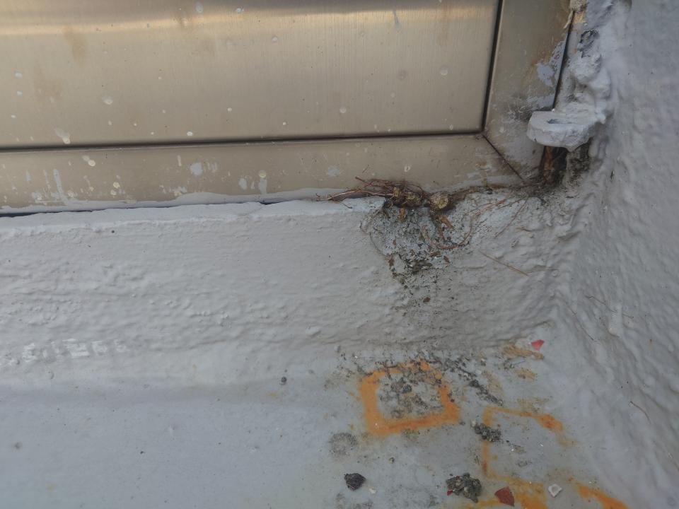 泥作/水泥施工案件圖片