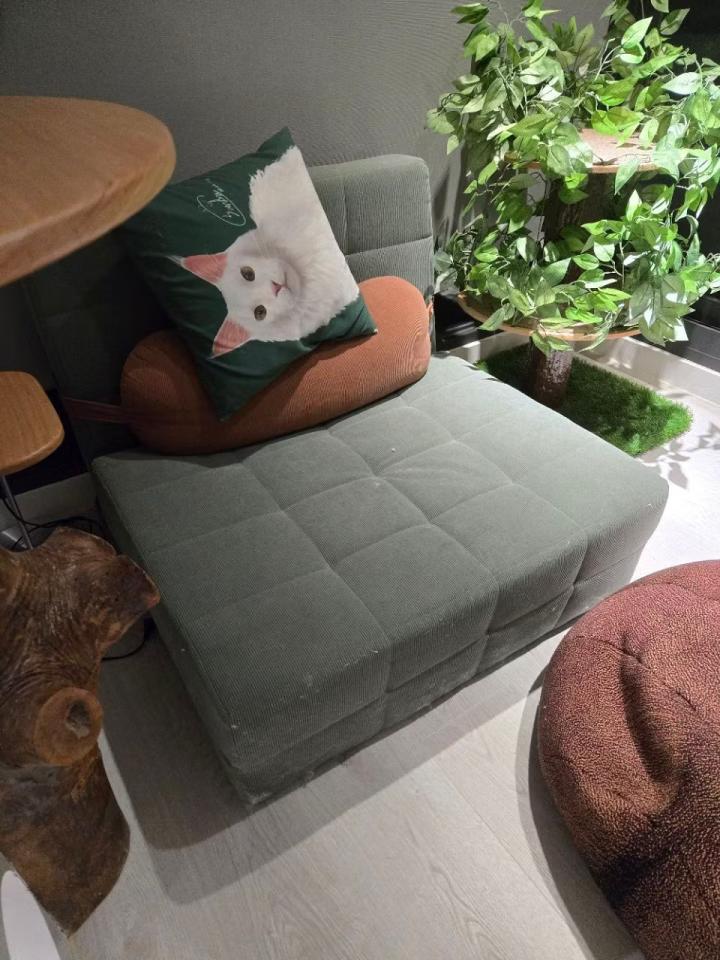 載貨運輸服務案件圖片