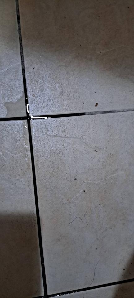 漏水鑑定案件圖片