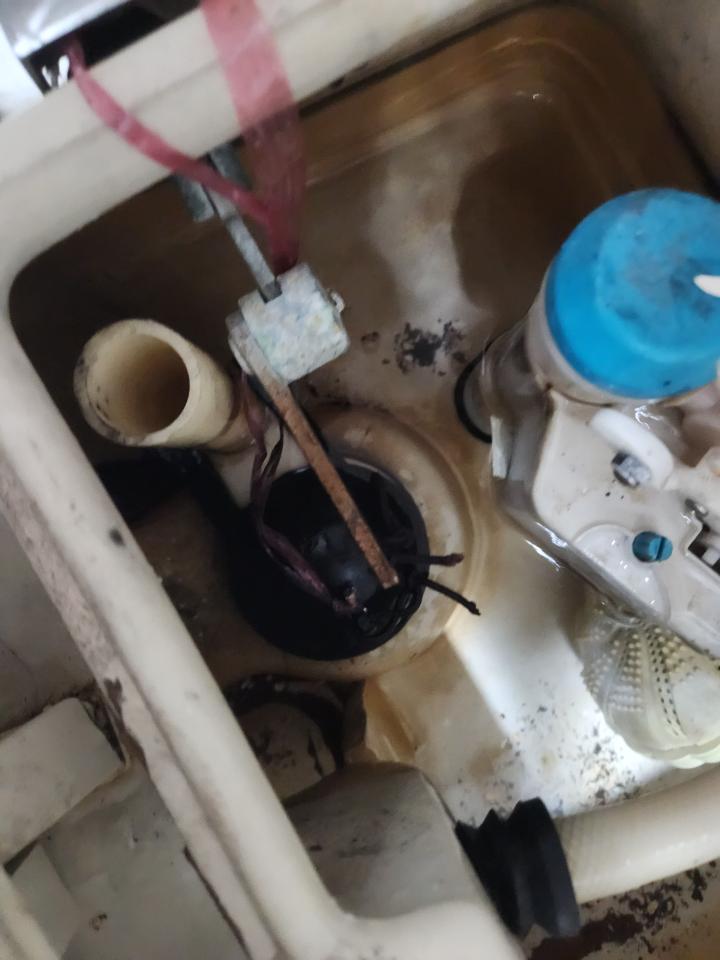 馬桶裝修案件圖片