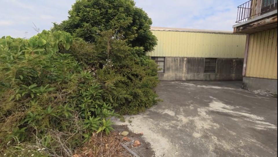 園藝維護案件圖片