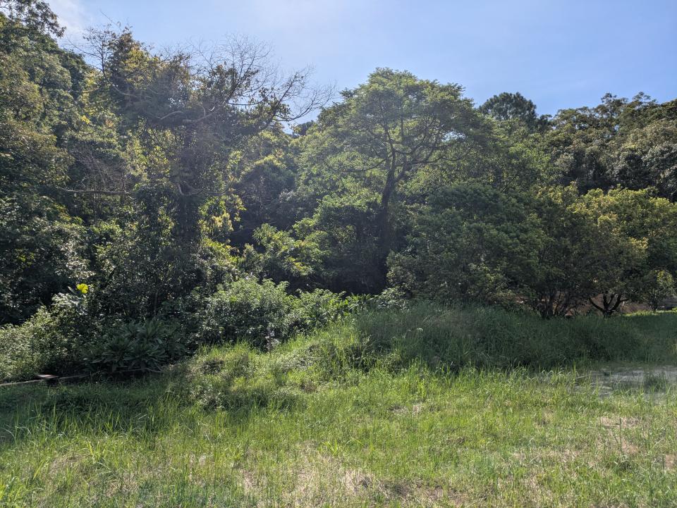 園藝維護案件圖片