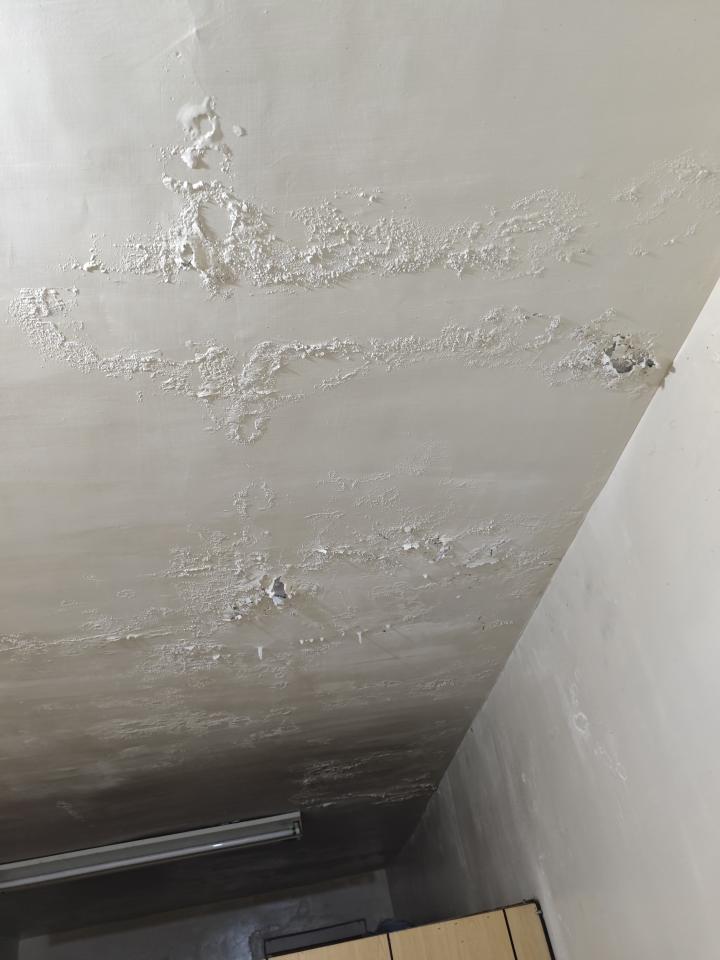 油漆工程案件圖片