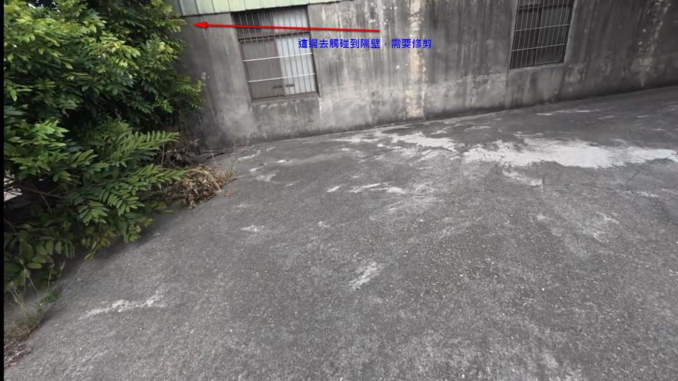 園藝維護案件圖片