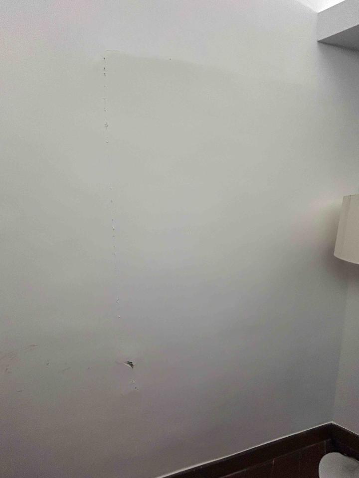 泥作/水泥施工案件圖片