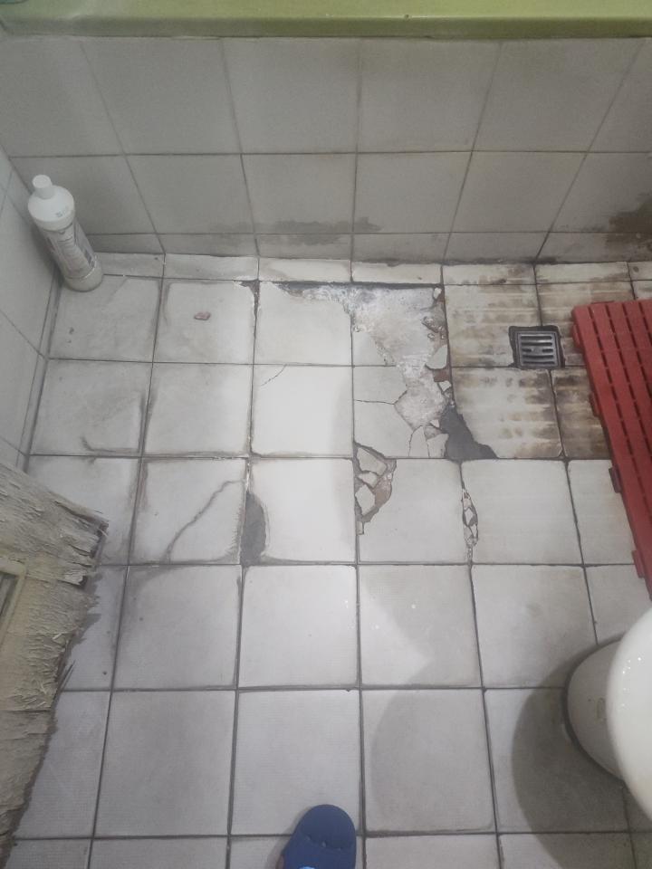 浴室翻新案件圖片