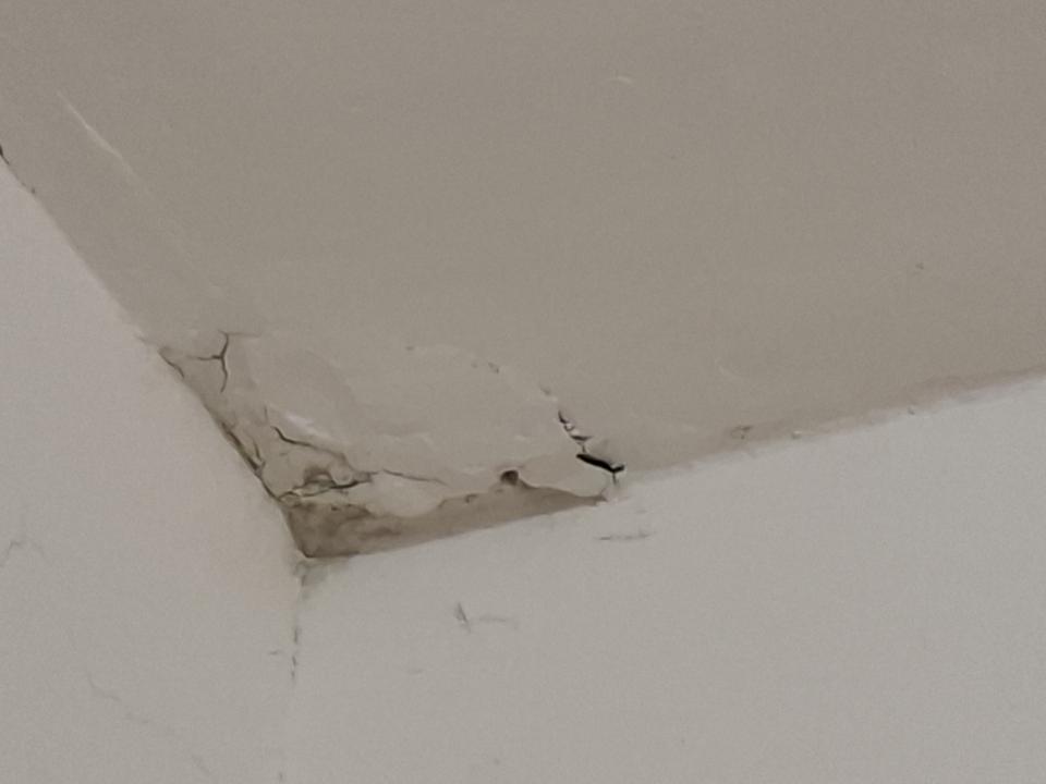 泥作/水泥施工案件圖片