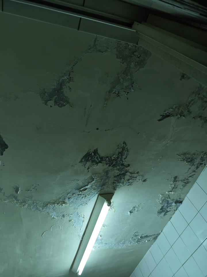 油漆工程案件圖片