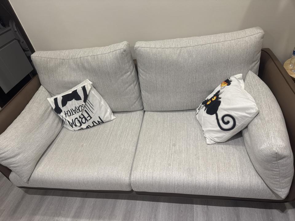 沙發清潔案件圖片