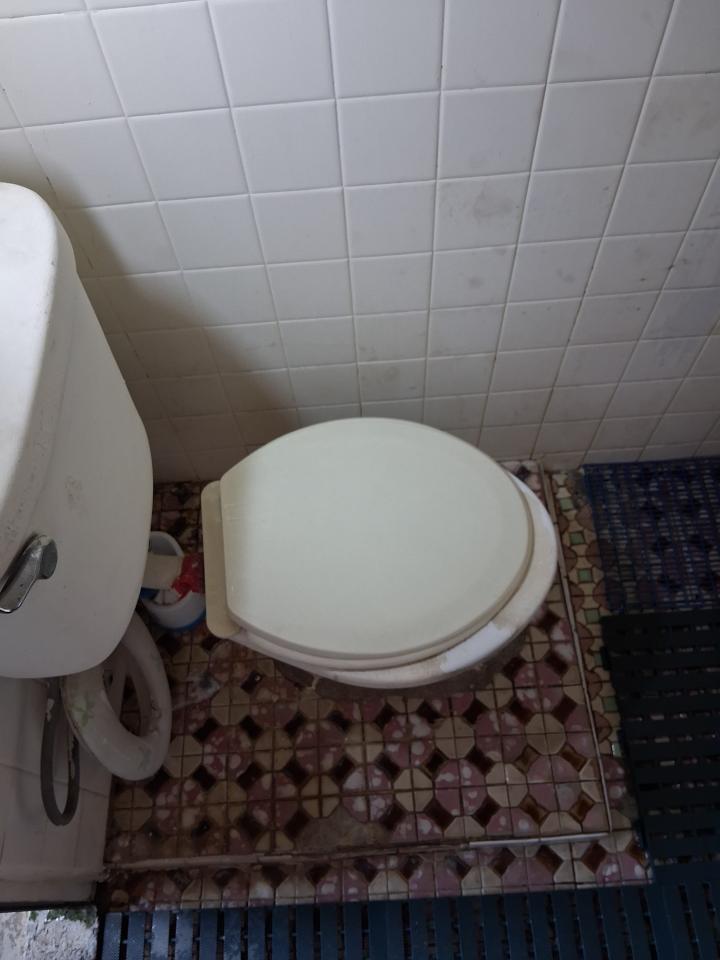 馬桶裝修案件圖片