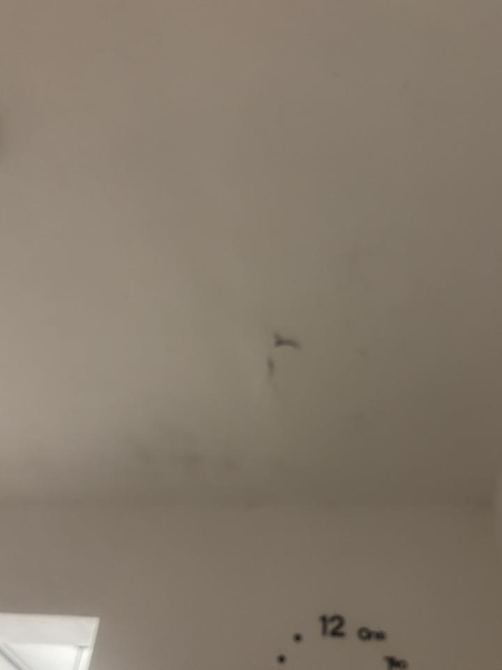 油漆工程案件圖片