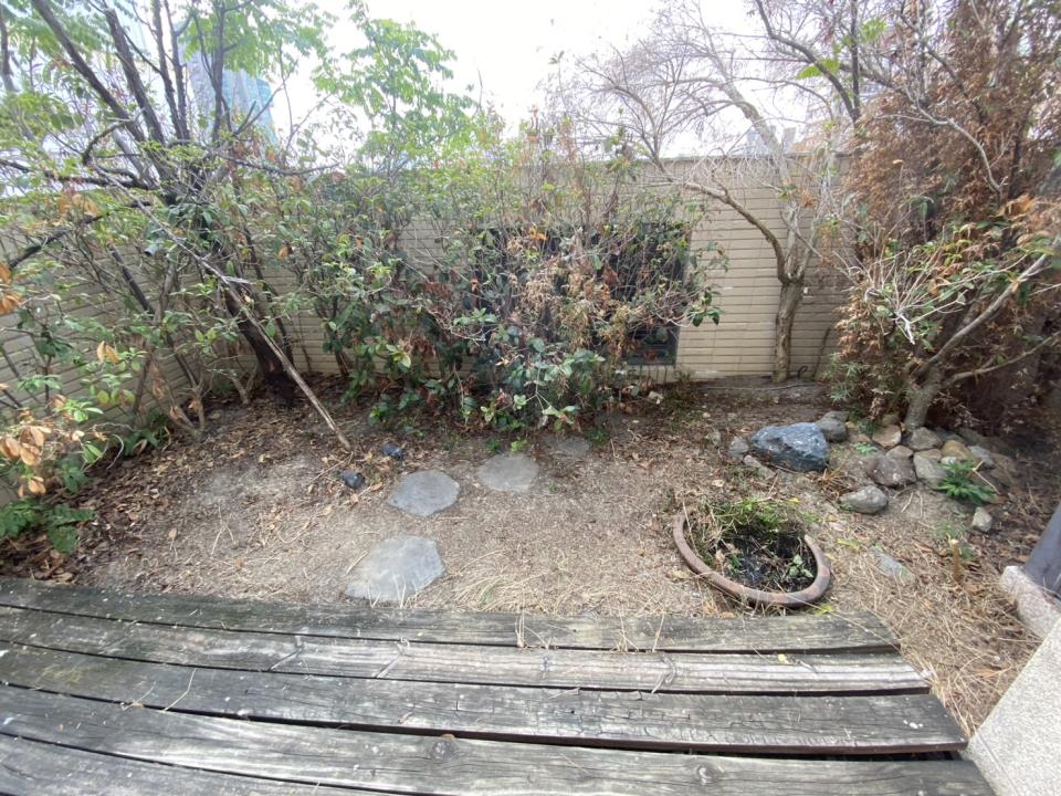 園藝維護案件圖片