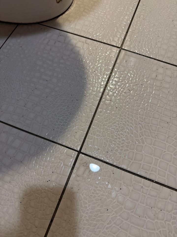 浴室除霉清潔案件圖片