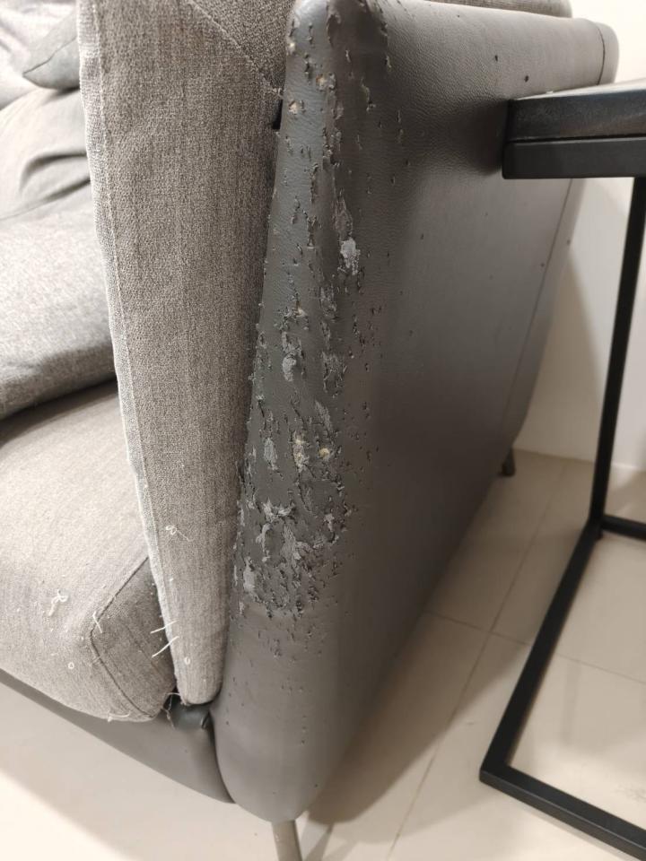 沙發修理案件圖片