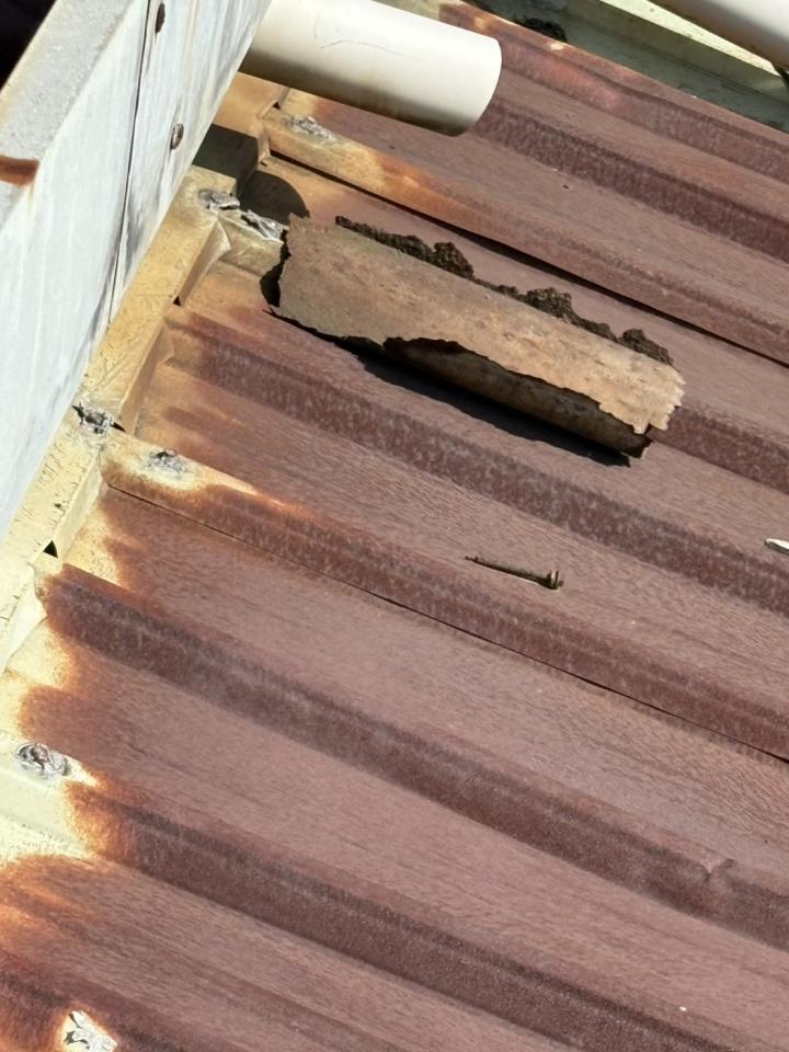 鐵皮屋頂案件圖片