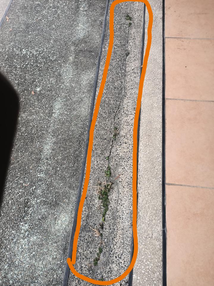 泥作/水泥施工案件圖片