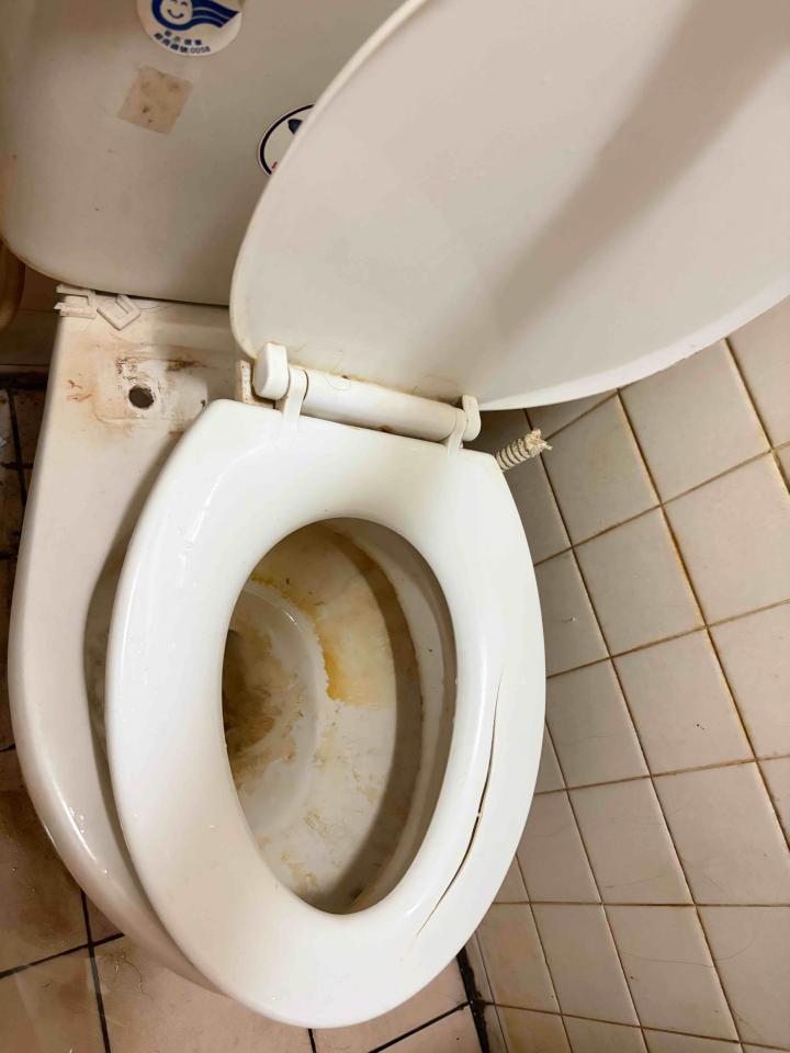 馬桶裝修案件圖片