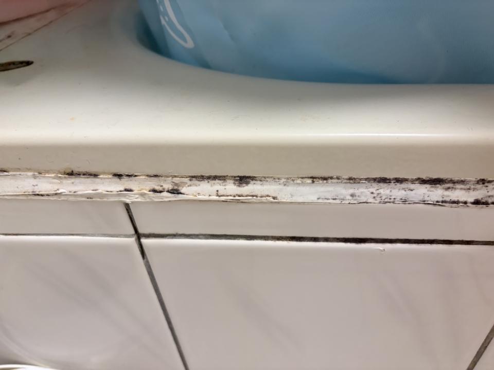 矽利康工程案件圖片