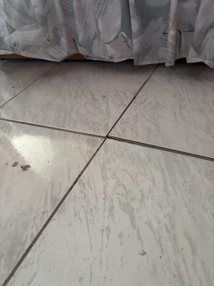 磁磚修補案件圖片