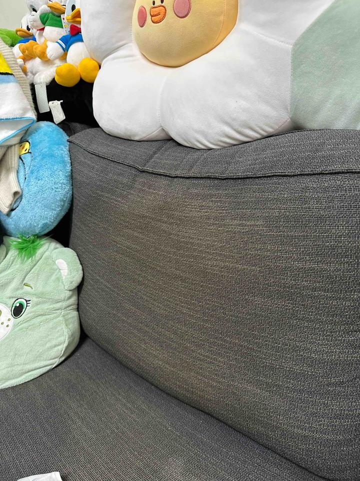 沙發清潔案件圖片