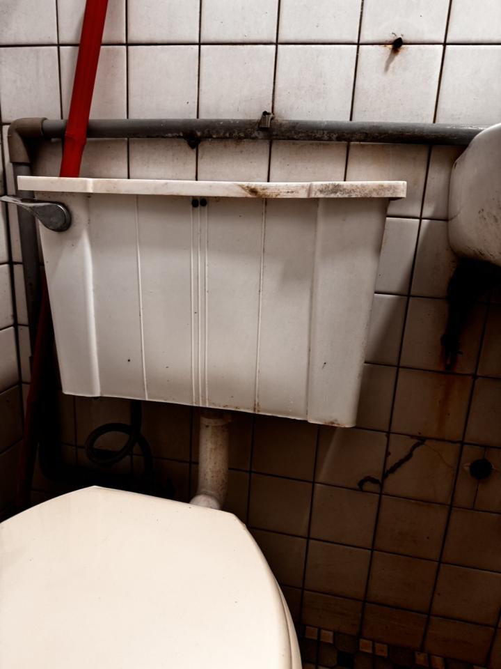 馬桶裝修案件圖片