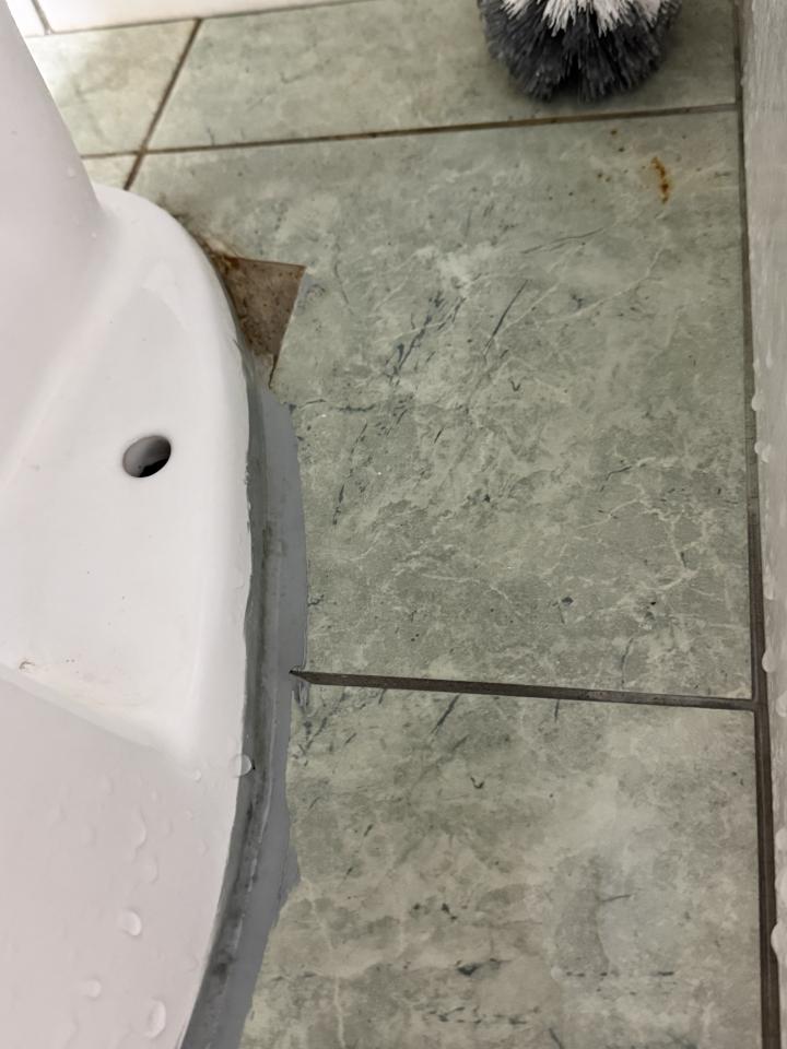 馬桶裝修案件圖片