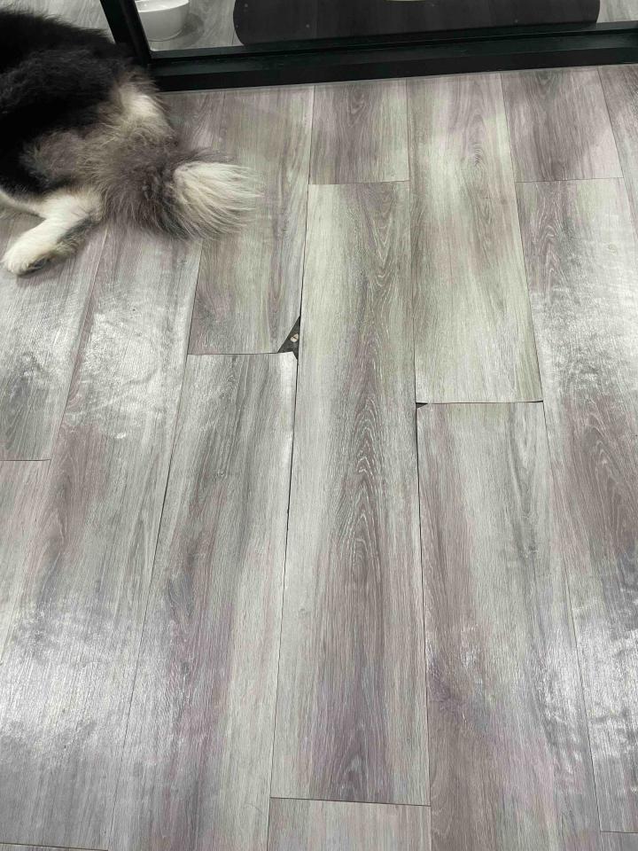 地板施工案件圖片