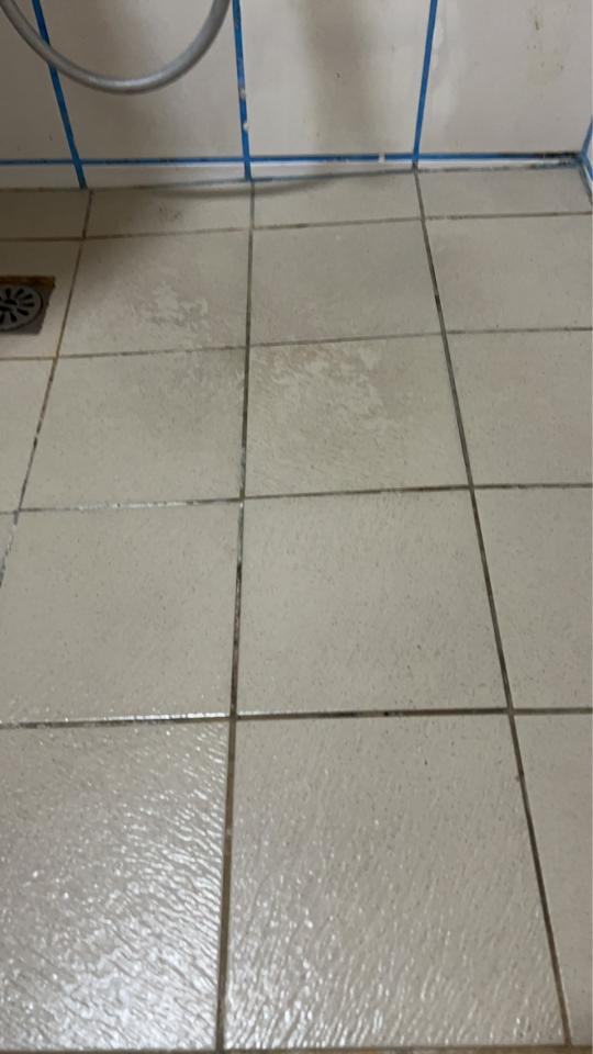 磁磚修補案件圖片