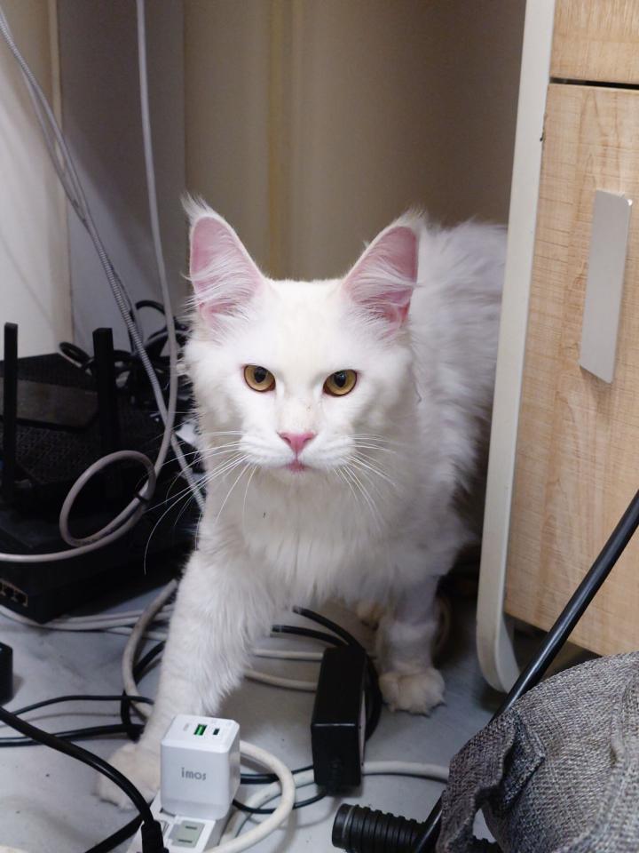 3D建模案件圖片