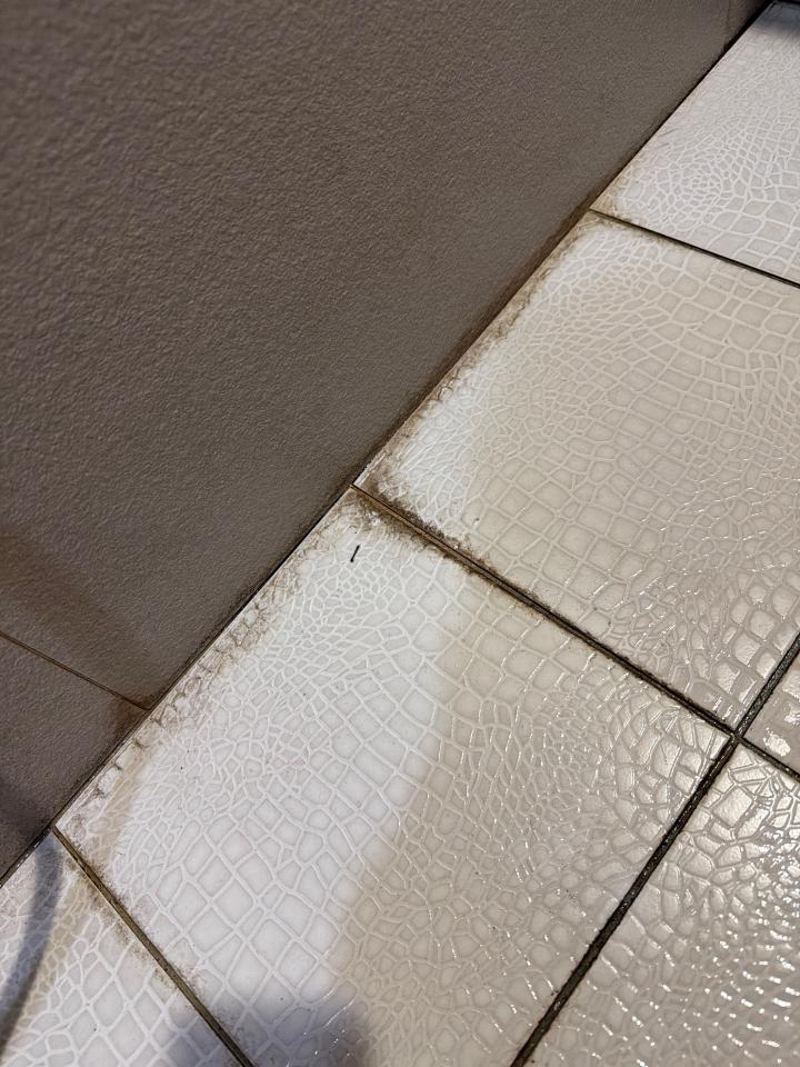 浴室除霉清潔案件圖片