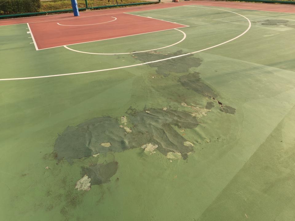 PU地板案件圖片