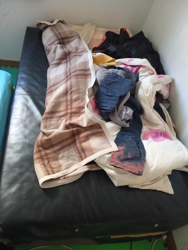 大型垃圾回收案件圖片