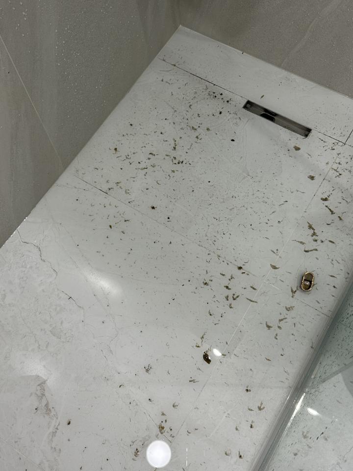 居家修繕案件圖片