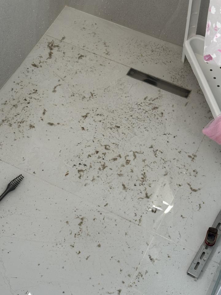 居家修繕案件圖片