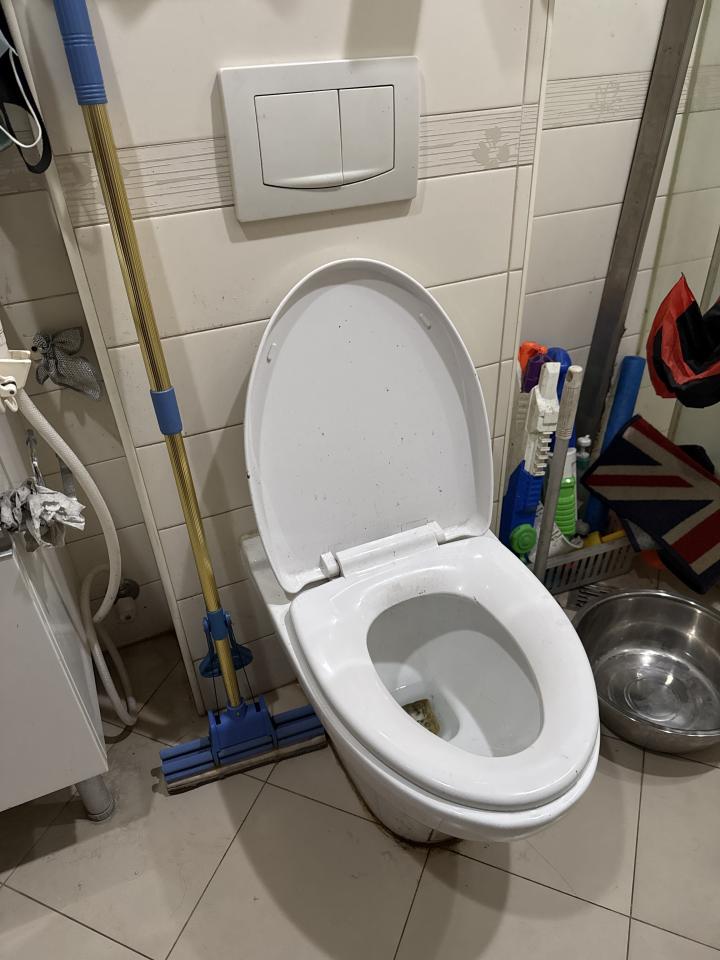 馬桶裝修案件圖片