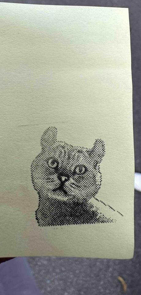 跑腿外送案件圖片