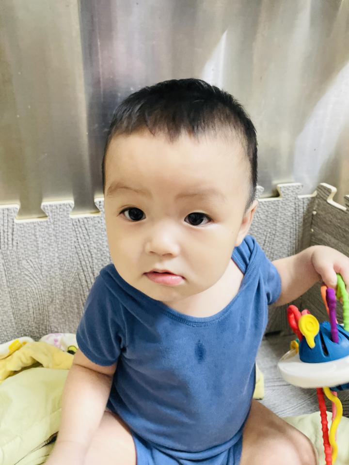 LINE貼圖製作案件圖片