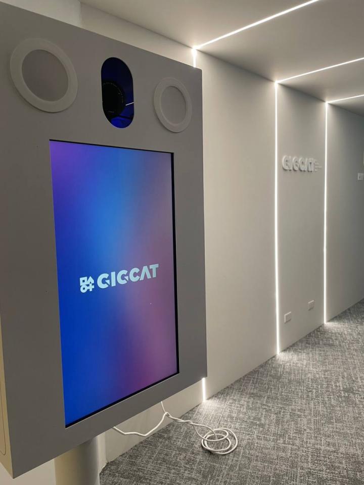 載貨運輸服務案件圖片